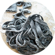 Fetuccini Calamar
