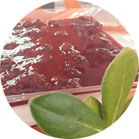 Mousse de Yogurt sin azúcar 8 porciones